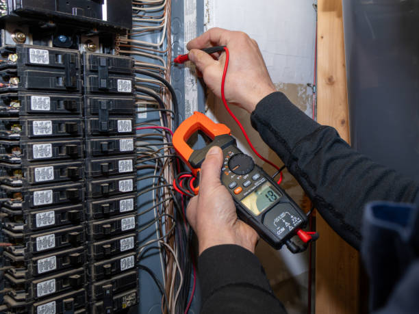 Best Home Electrical Repair  in Genoa, OH